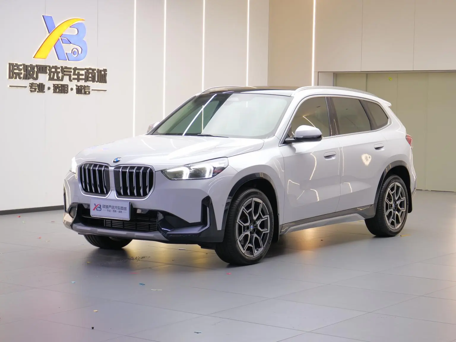 BMW X1 2023 sDrive25Li X Design Package