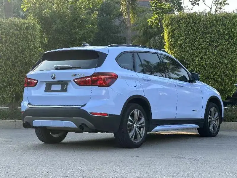 BMW X1 2018 xDrive20Li Premium Plus