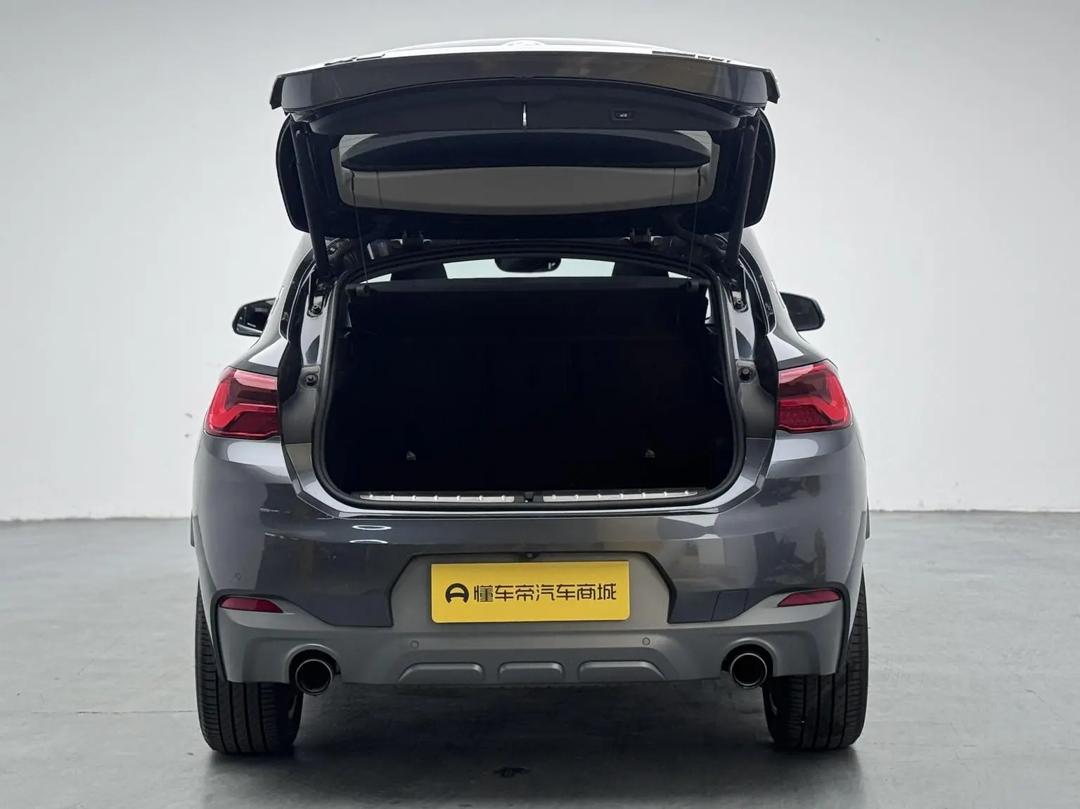 BMW X2( Import ) 2019 sDrive25i Leading M Off-Road Package China VI