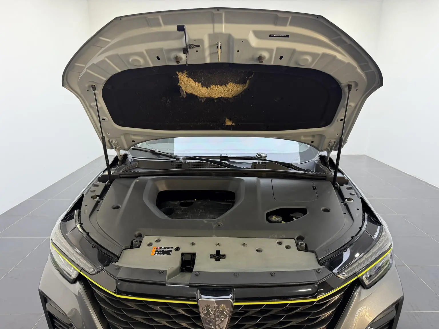 Roewe RX5 2020 PLUS 300TGI Auto Ali Guochao Flagship