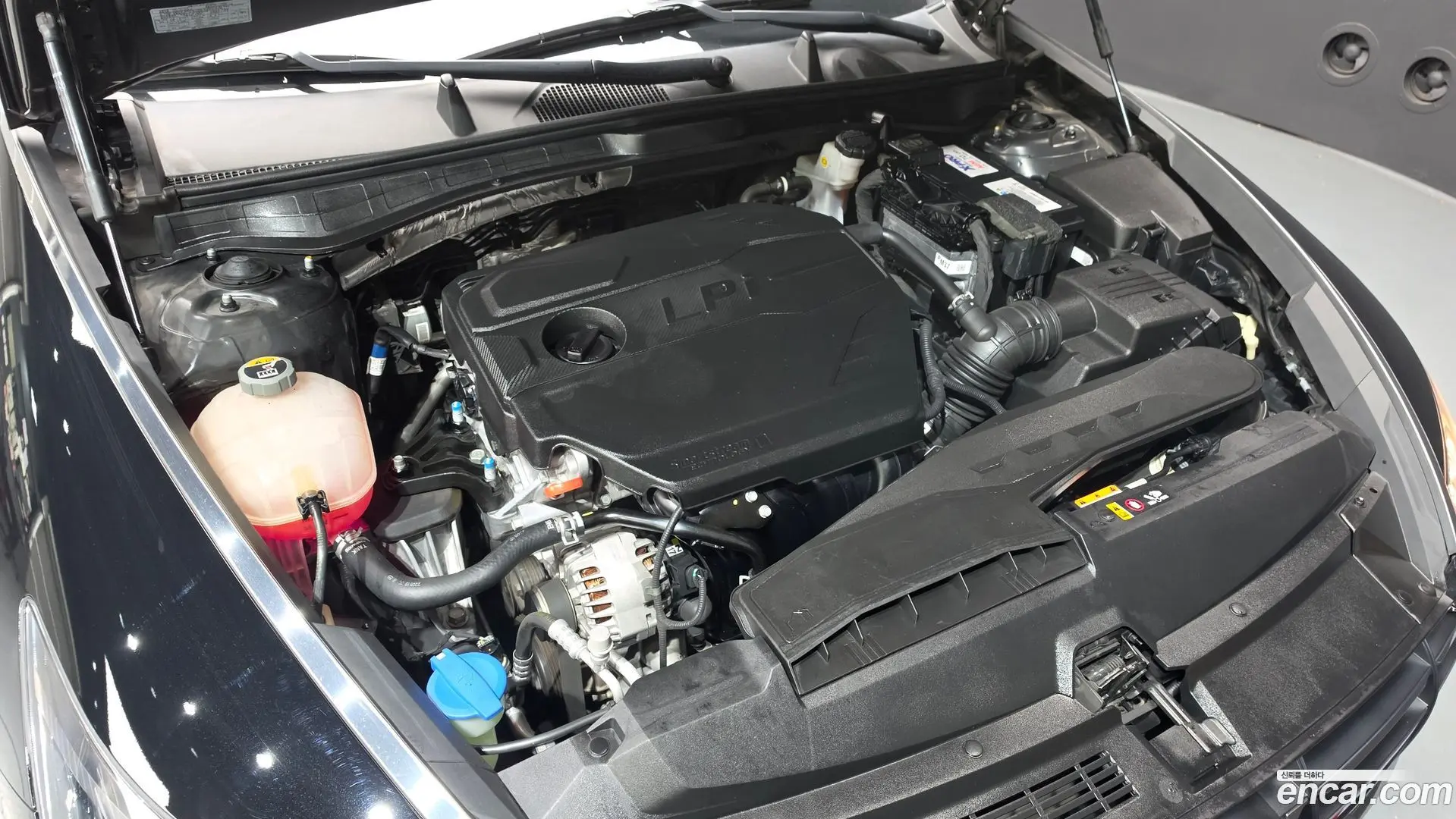 Hyundai Sonata 2.0 LPG(rental car)