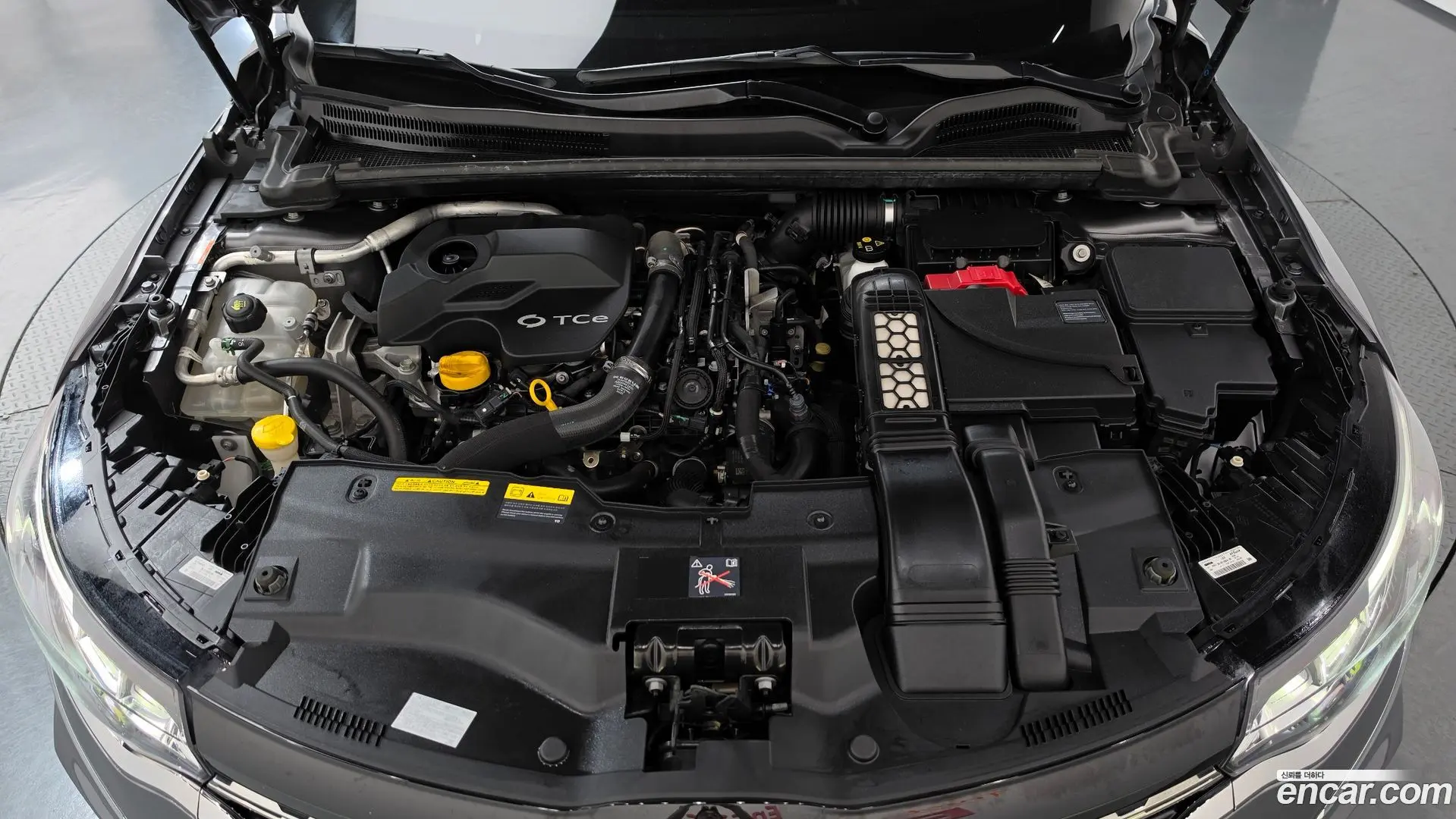 Renault Korea SM6 1.3 TCe Feel