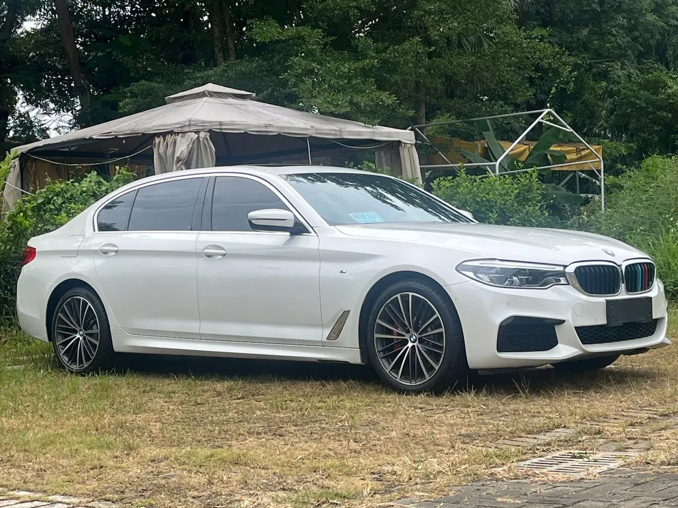 BMW 5 Series 2020 530Li Leading M Sport Package