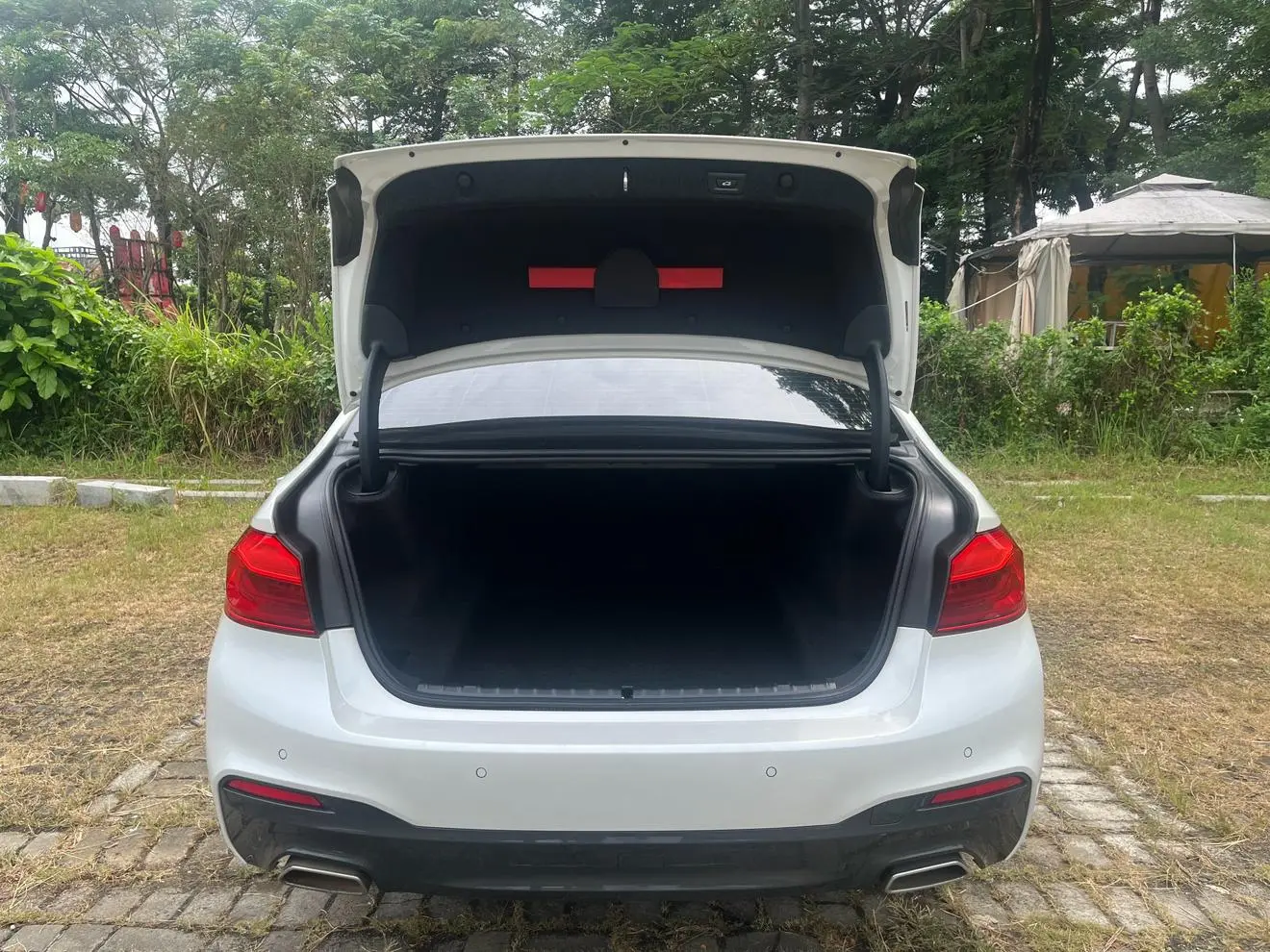 BMW 5 Series 2020 530Li Leading M Sport Package
