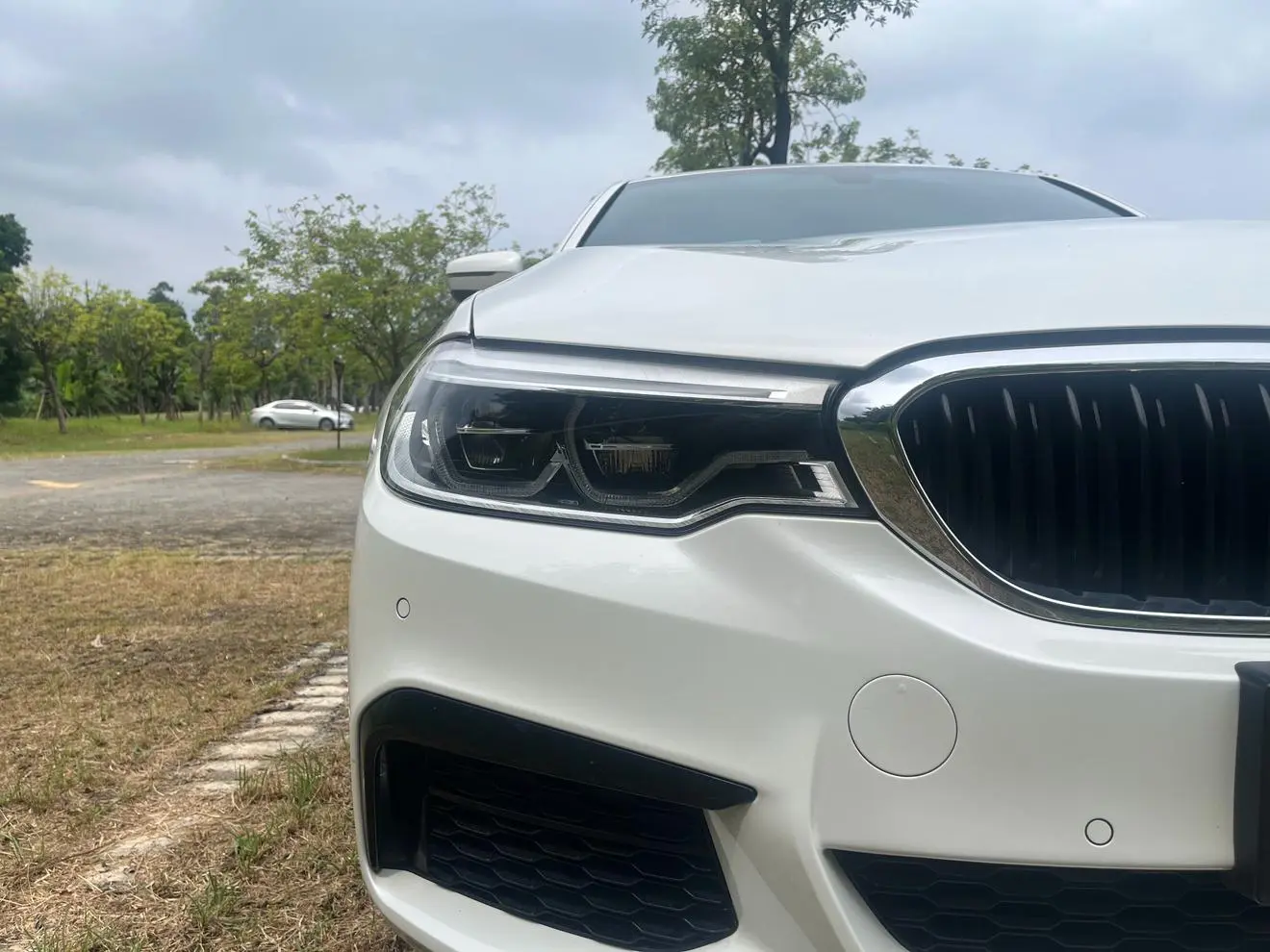 BMW 5 Series 2020 530Li Leading M Sport Package