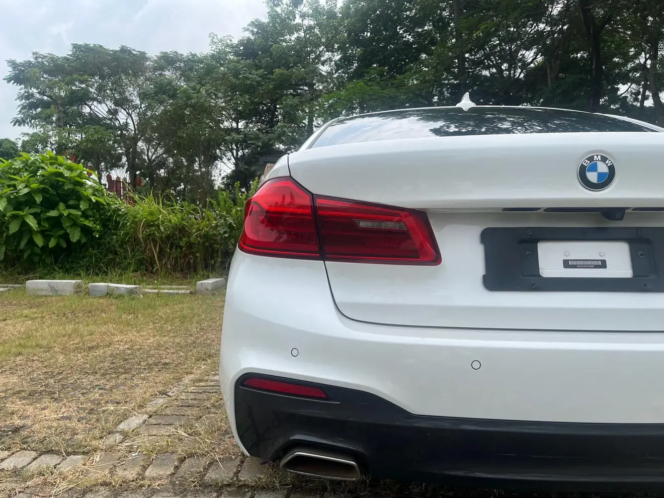 BMW 5 Series 2020 530Li Leading M Sport Package