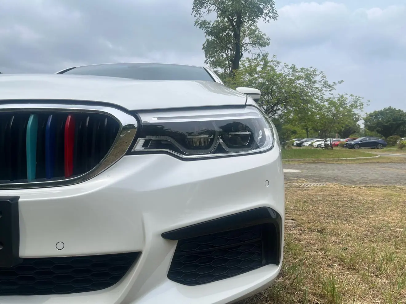 BMW 5 Series 2020 530Li Leading M Sport Package