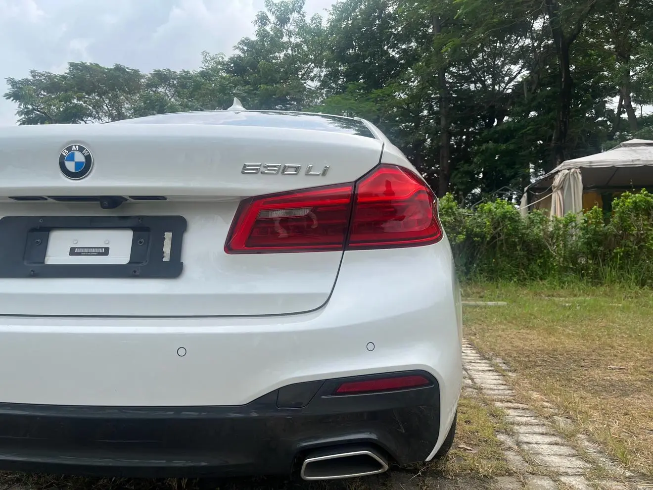 BMW 5 Series 2020 530Li Leading M Sport Package