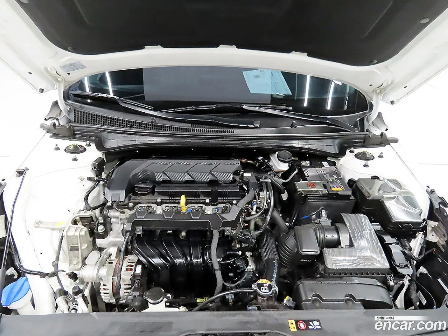 Hyundai AVANTE 1.6 2023