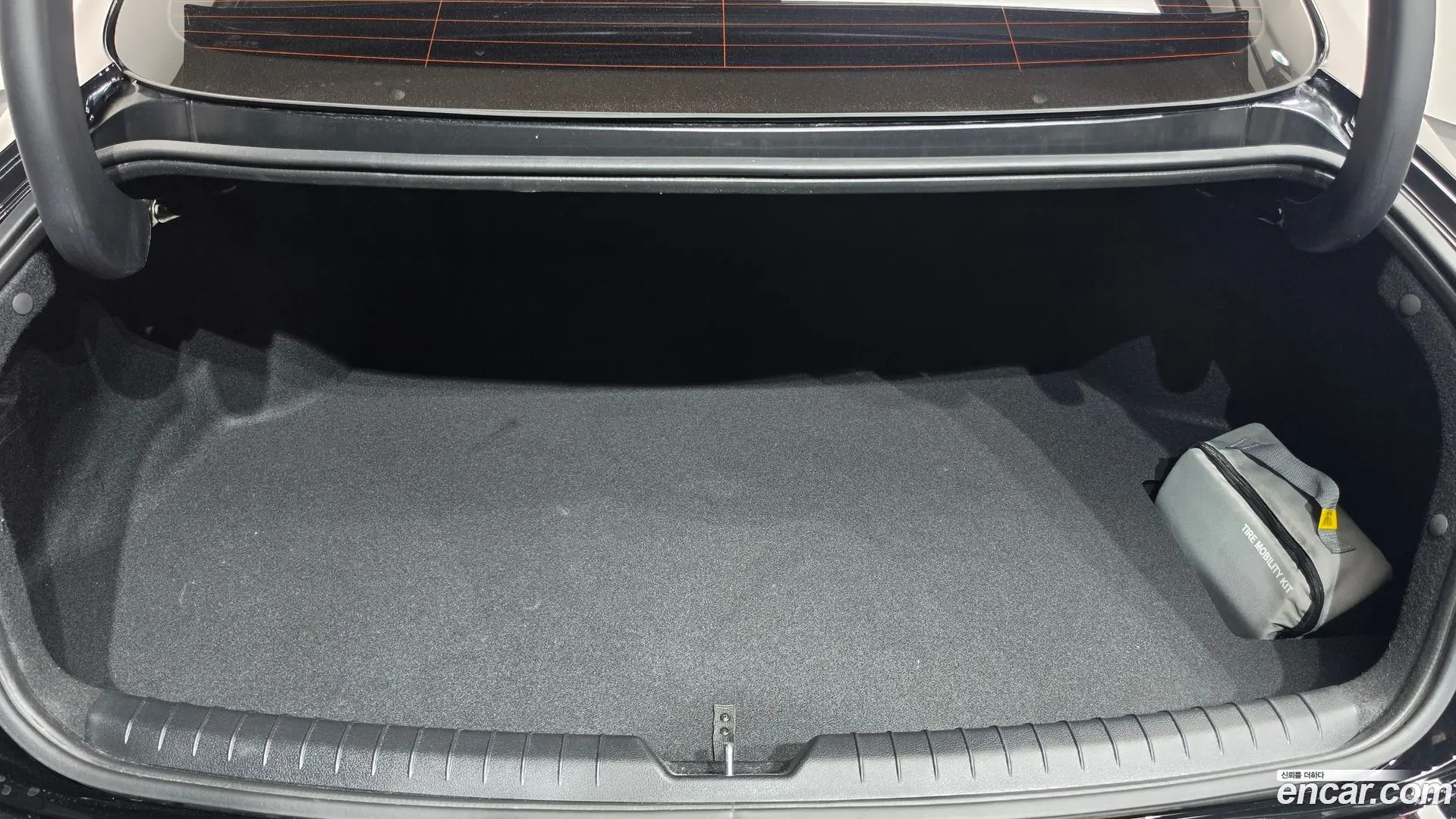 Hyundai Sonata 2.0 LPG(rental car)