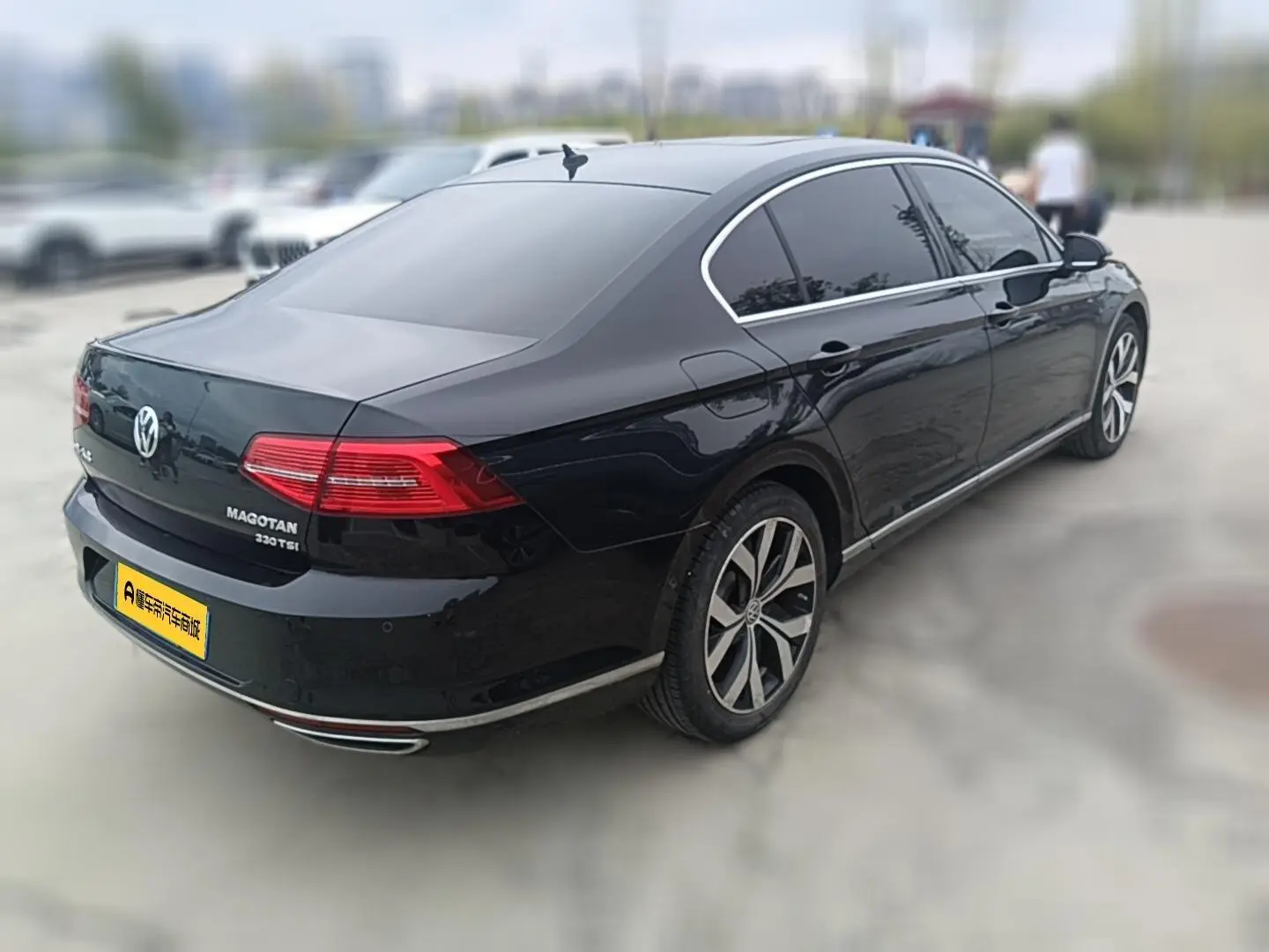 Volkswagen Magotan 2019 330TSI DSG Premium China V
