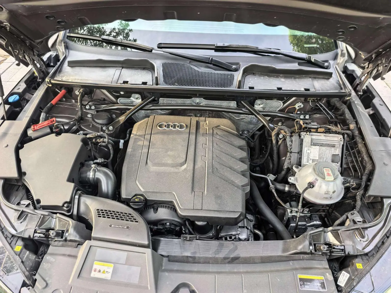 Audi Q5L 2023 40T Dynamic Luxury