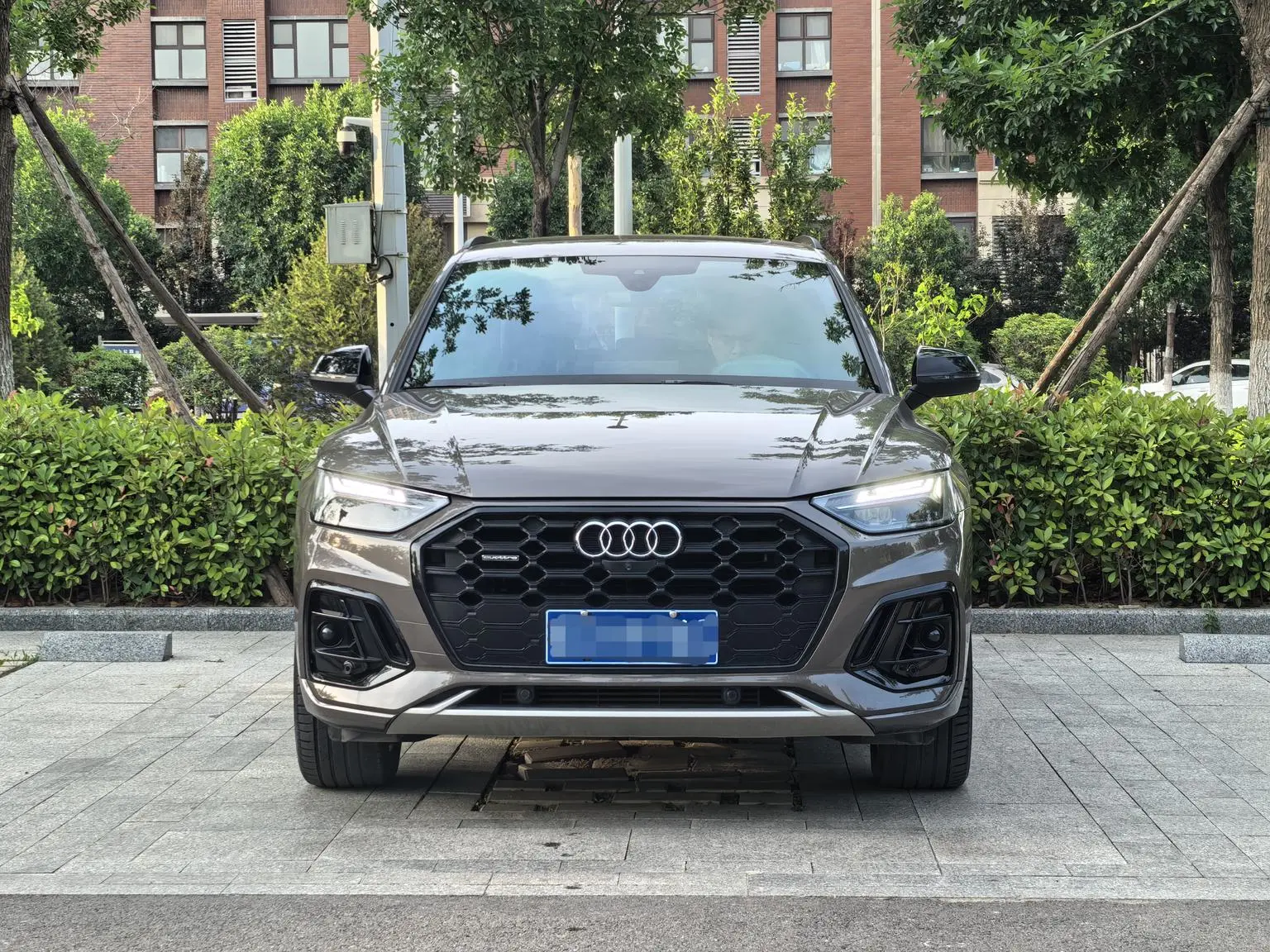 Audi Q5L 2023 40T Dynamic Luxury