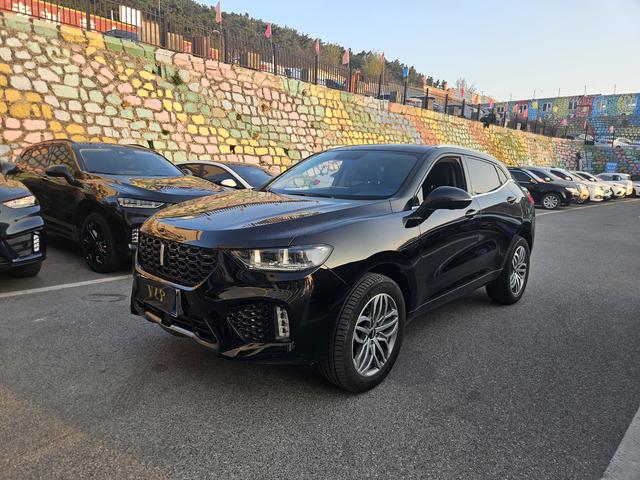WEY VV5 2019 Upgrade 2.0T 2WD super rich China VI