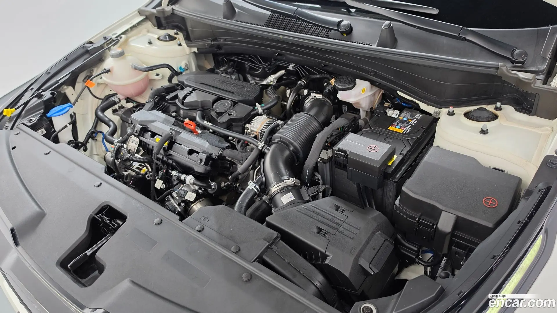 Kia Sportage Gasoline 1.6 Turbo 2WD 2021