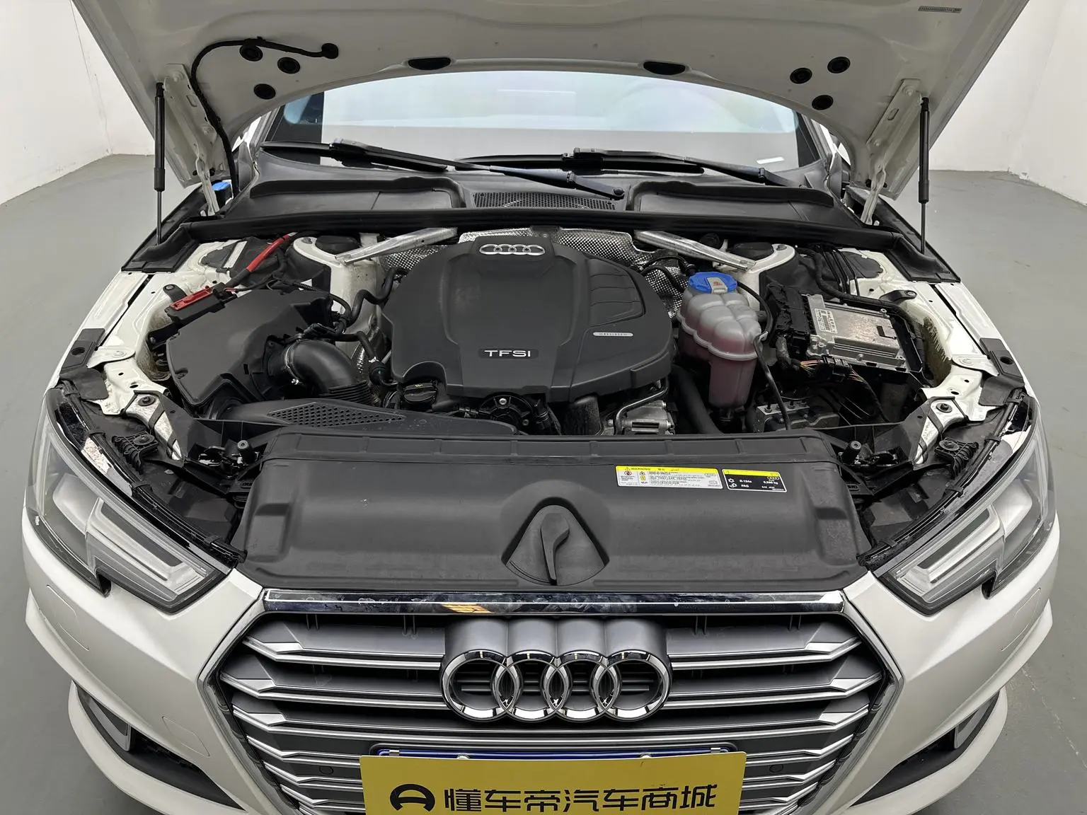 Audi A4L 2019 40 TFSI Fashion China V