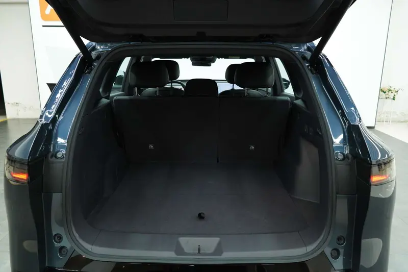 Nissan NX8 2026 Pure Electric 650 Max