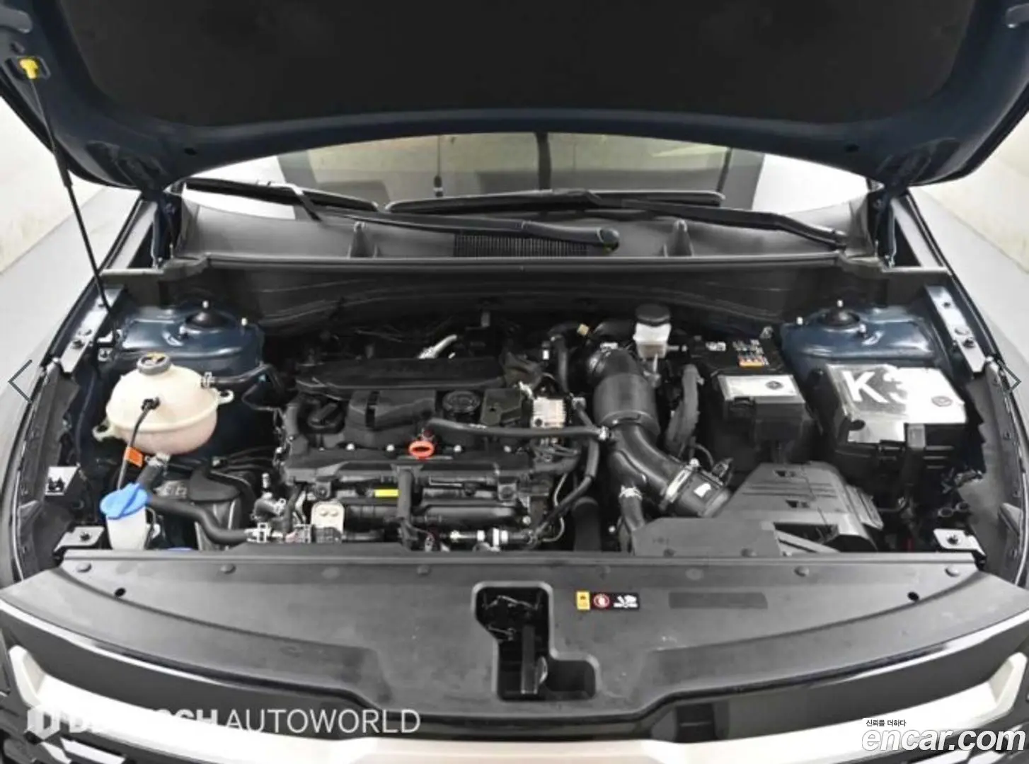 Kia Sportage Gasoline 1.6 Turbo 2WD 2024