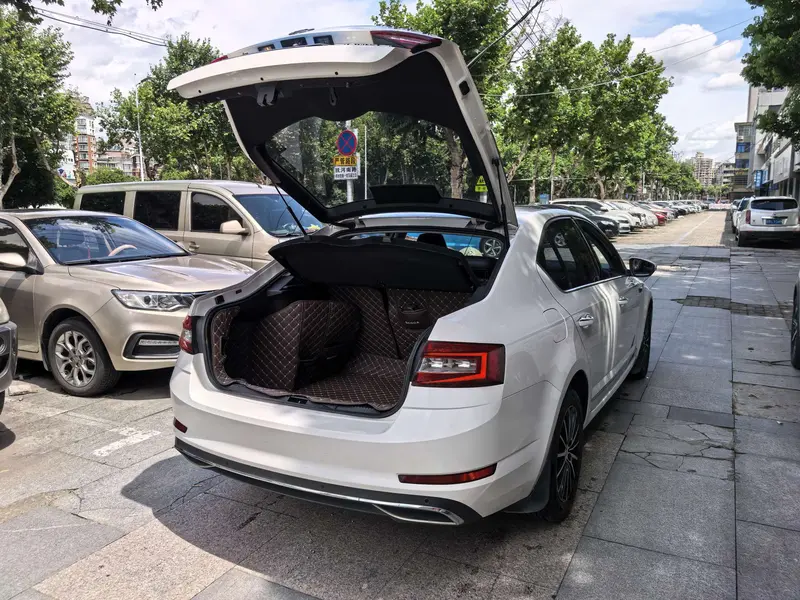 Octavia 2018 TSI230 DSG Deluxe Edition