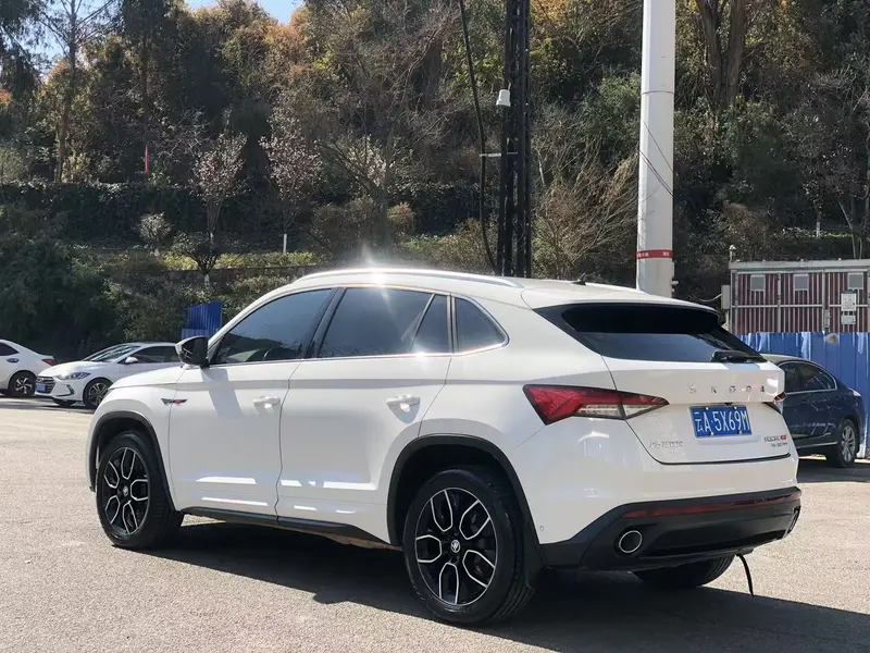 Kodiak GT 2019 TSI380 4WD Mars Agent Edition National V