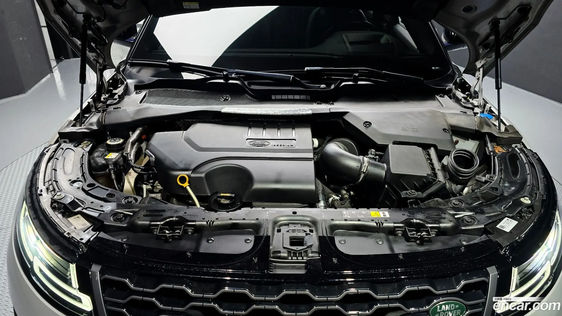 Land Rover Range Rover Evoque P250 R-Dynamic SE
