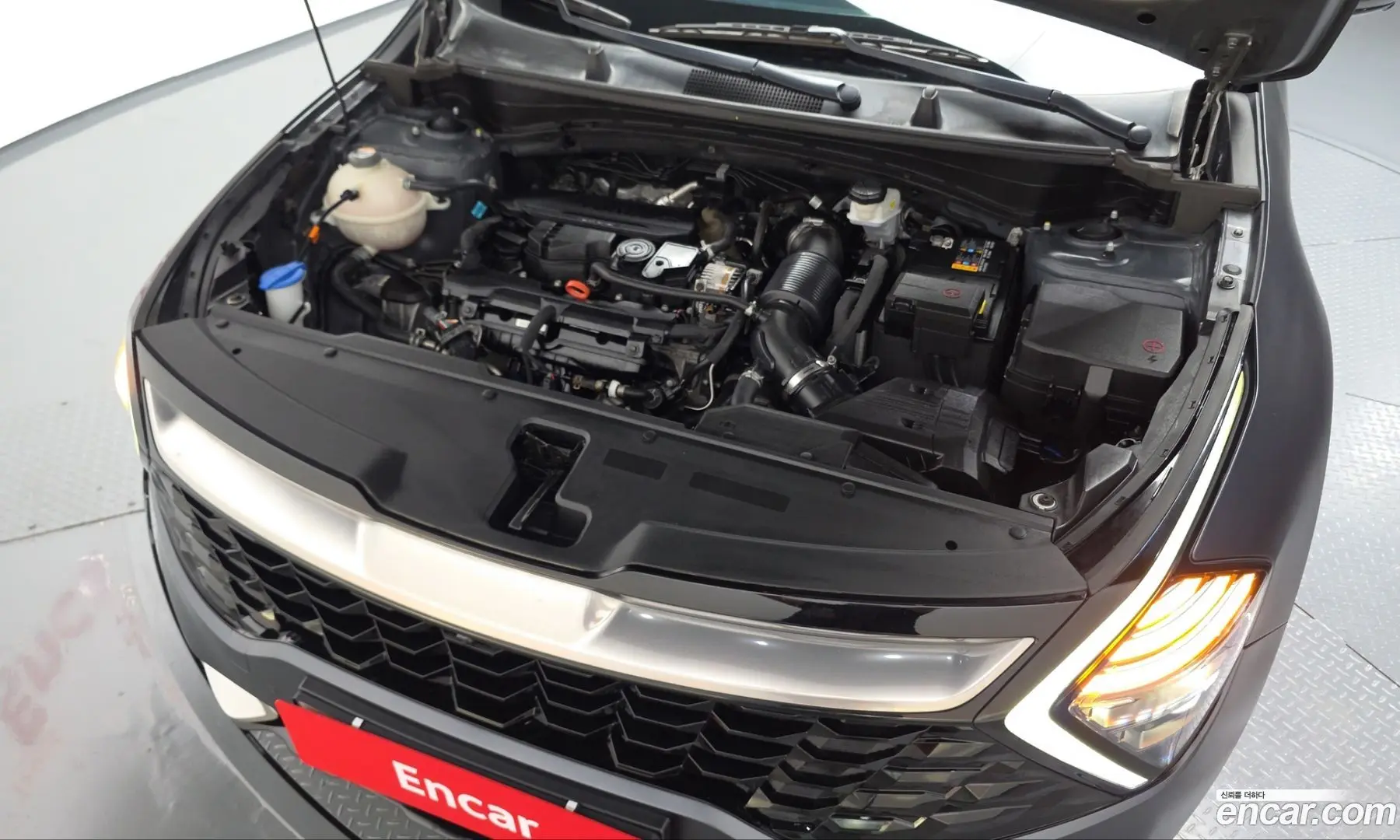 Kia Sportage Gasoline 1.6 Turbo 2WD 2021