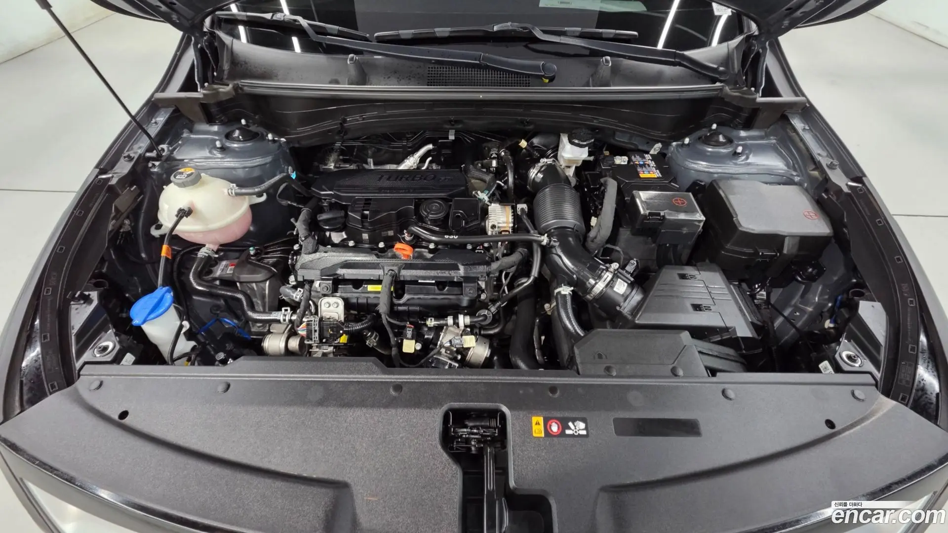 Kia Sportage Gasoline 1.6 Turbo 2WD 2021