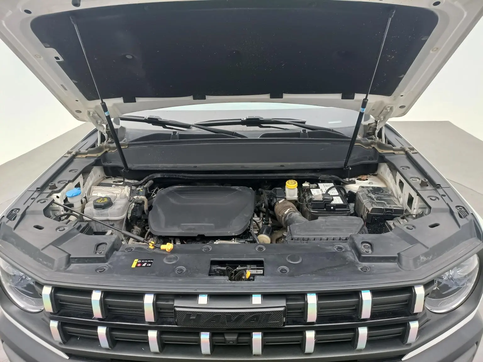 Haval 2022 1.5T Dynamic