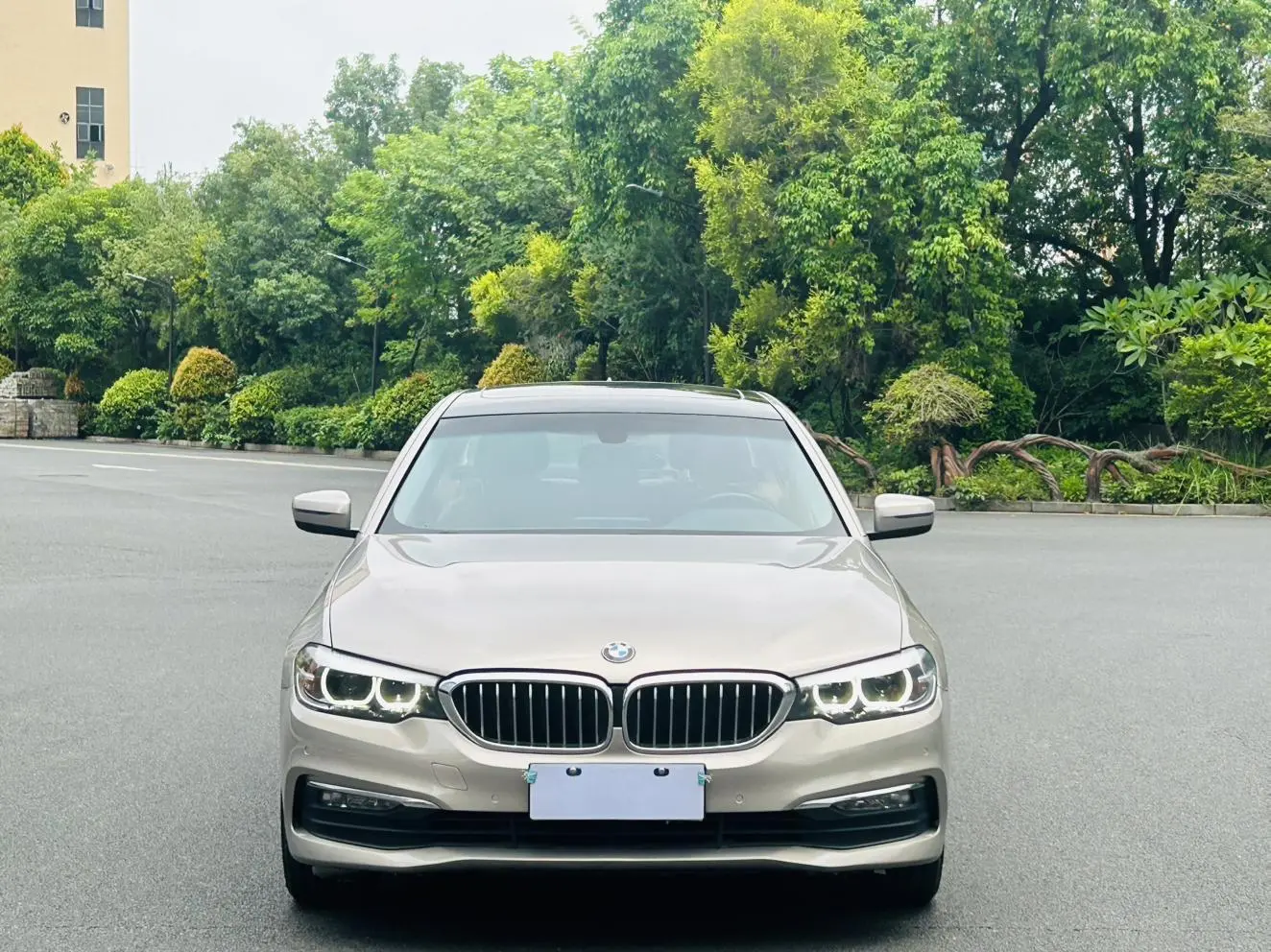 BMW 5 Series 2018 528Li Launch Special