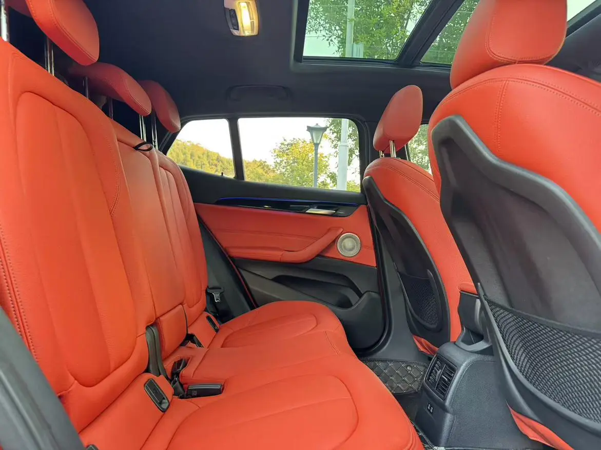 BMW X2 2021 sDrive25i Leading M Off-Road Package