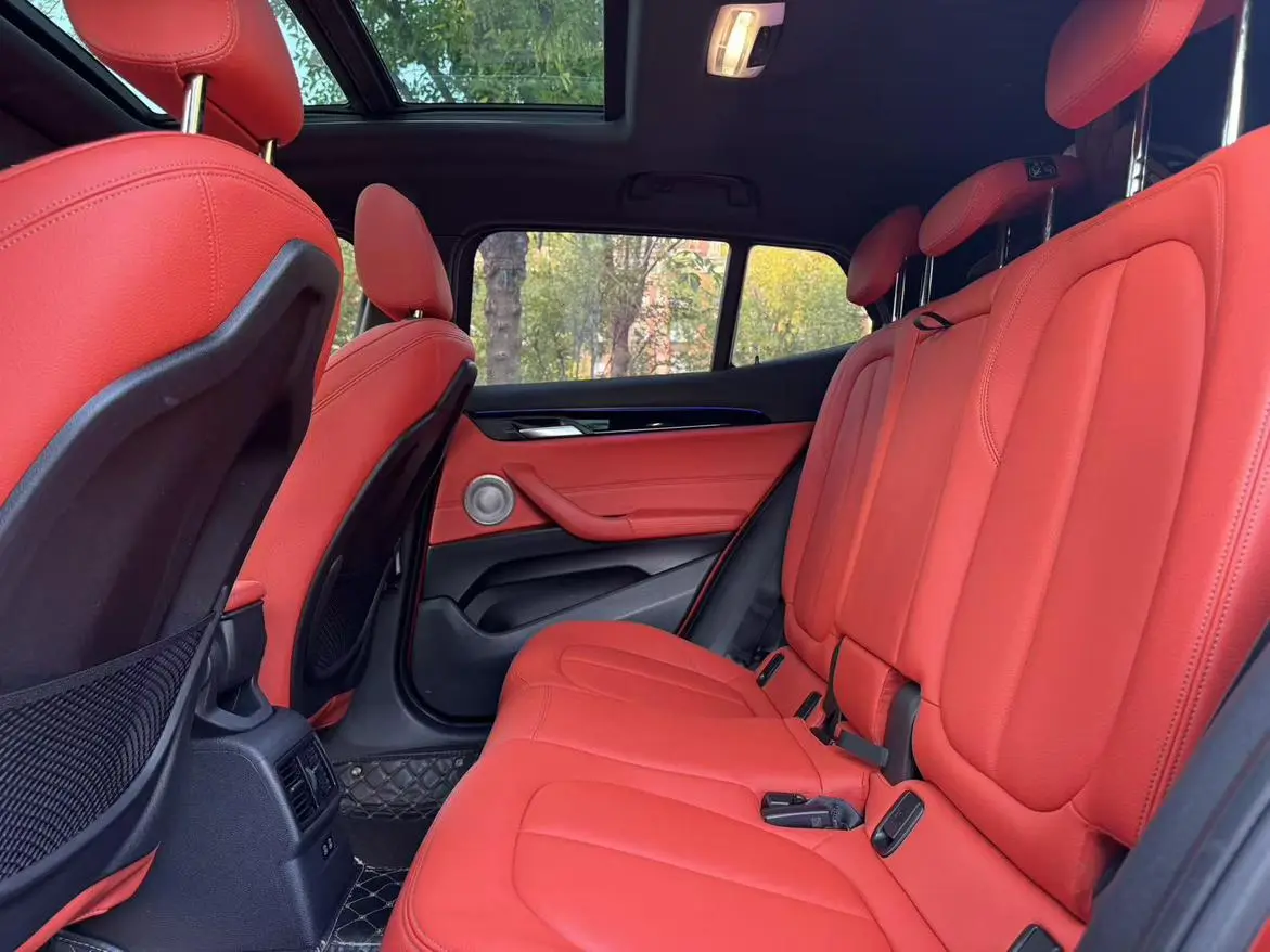 BMW X2 2021 sDrive25i Leading M Off-Road Package