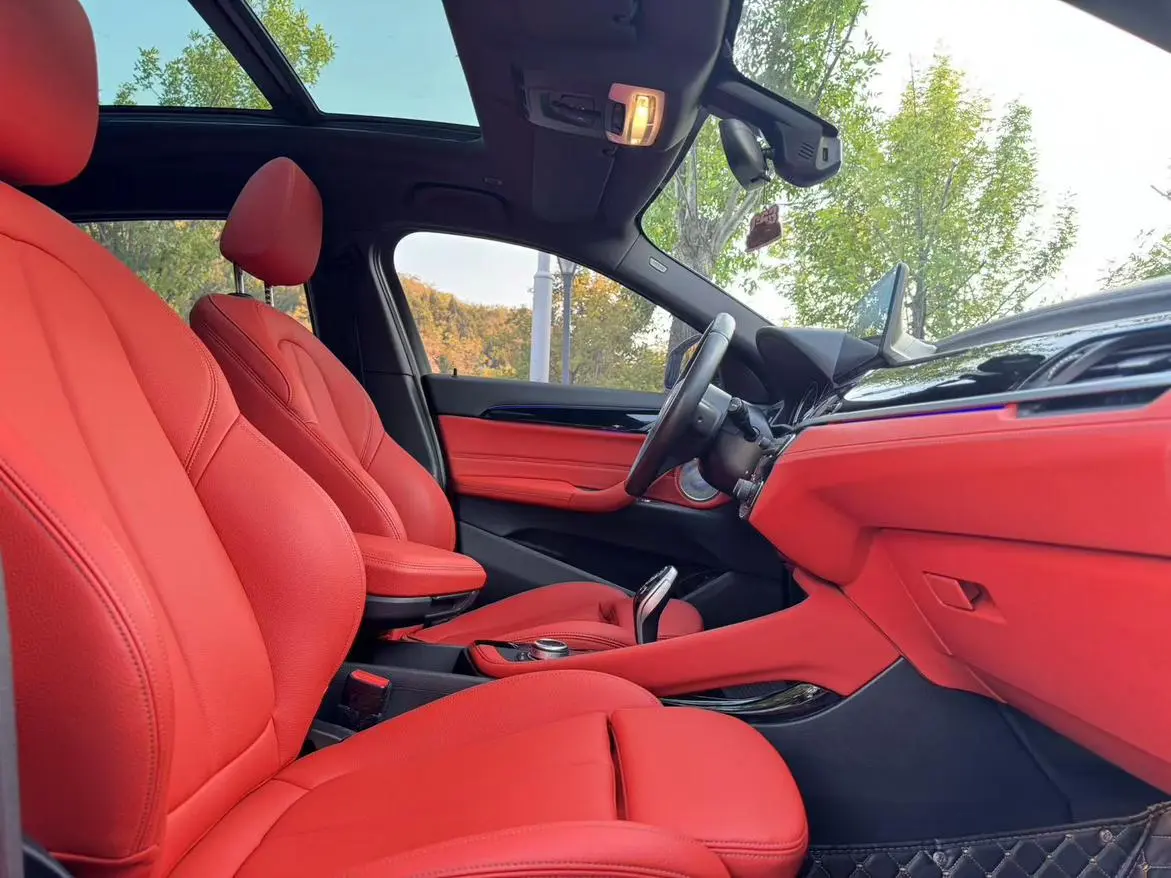 BMW X2 2021 sDrive25i Leading M Off-Road Package