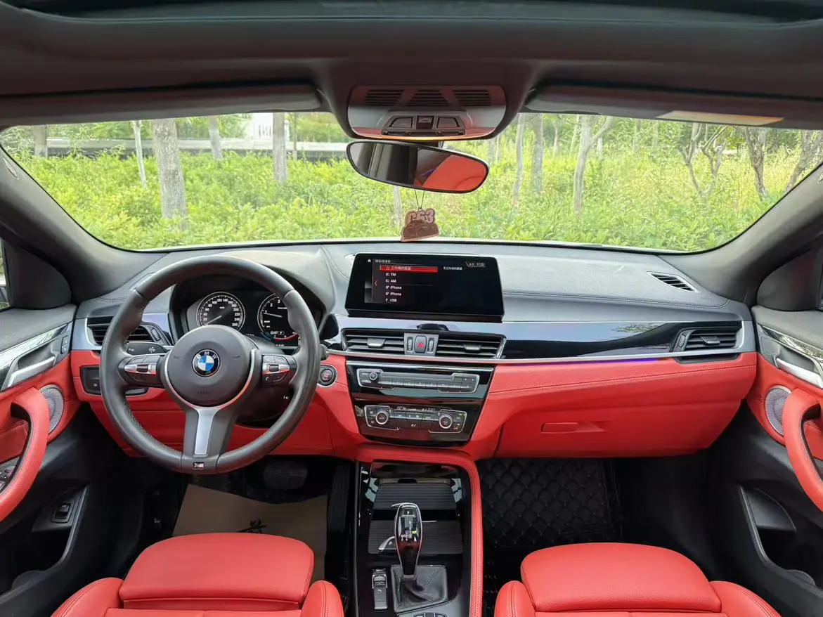 BMW X2 2021 sDrive25i Leading M Off-Road Package