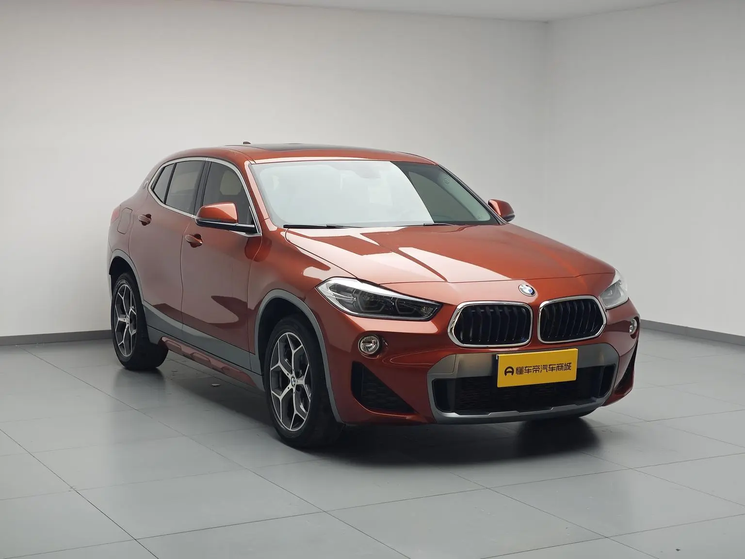 BMW X2( Import ) 2019 sDrive20i M Off-Road Package China VI