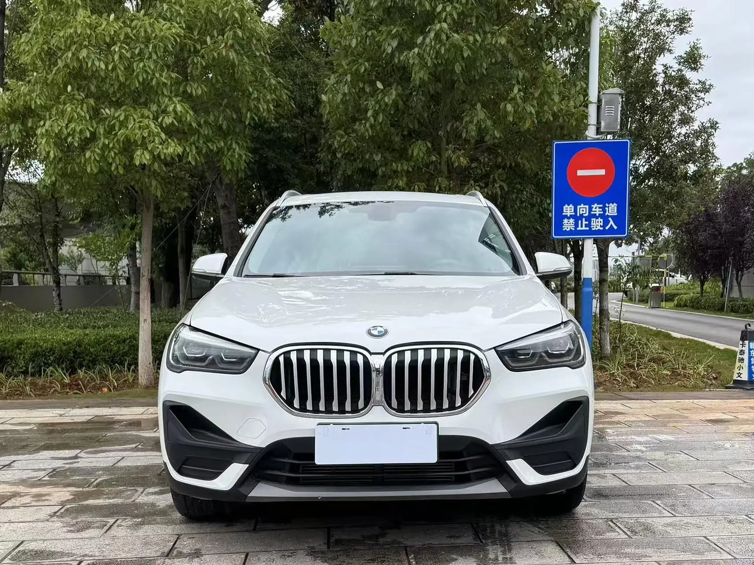 BMW X1 2020 sDrive25Li Leading