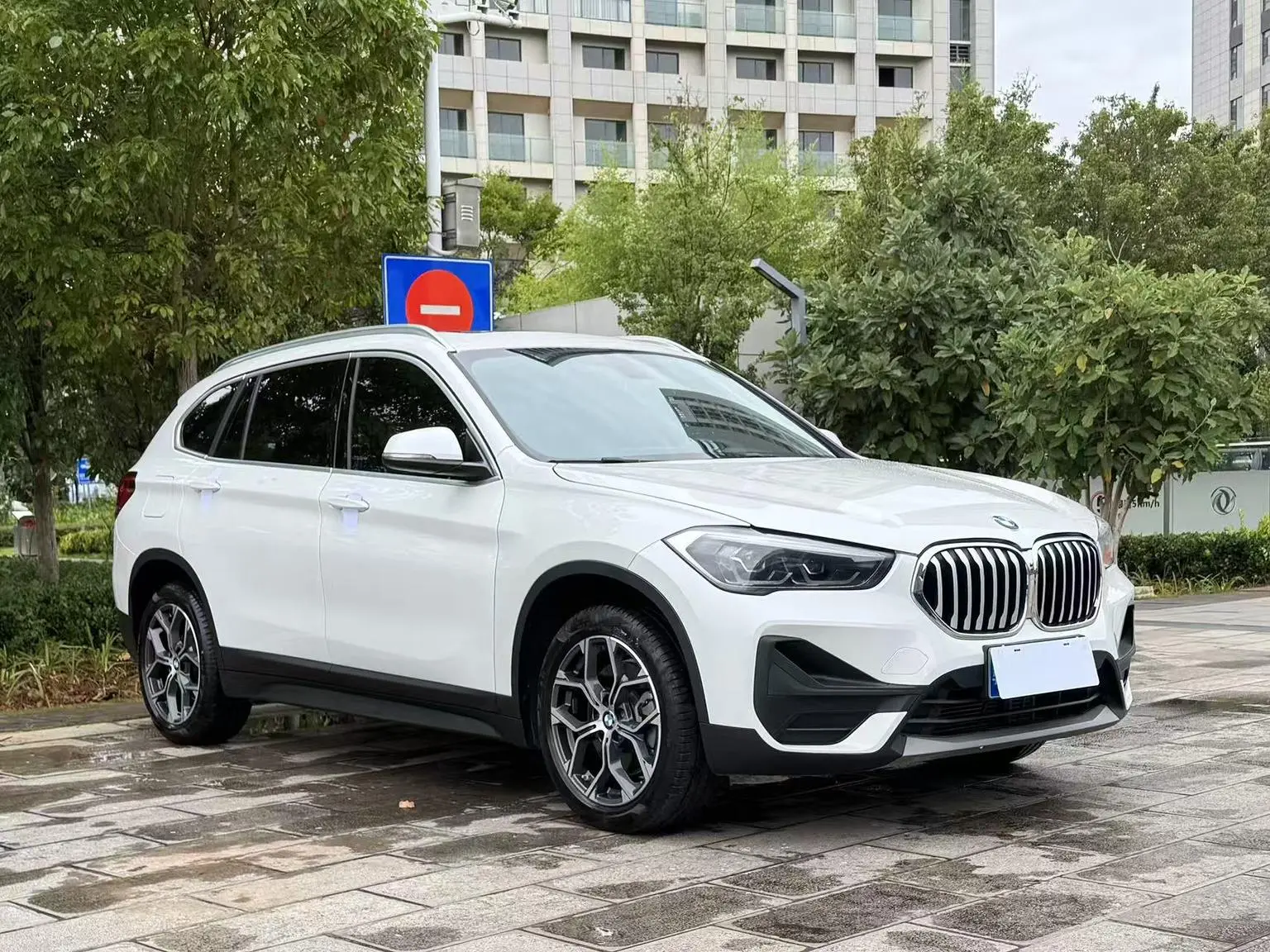 BMW X1 2020 sDrive25Li Leading