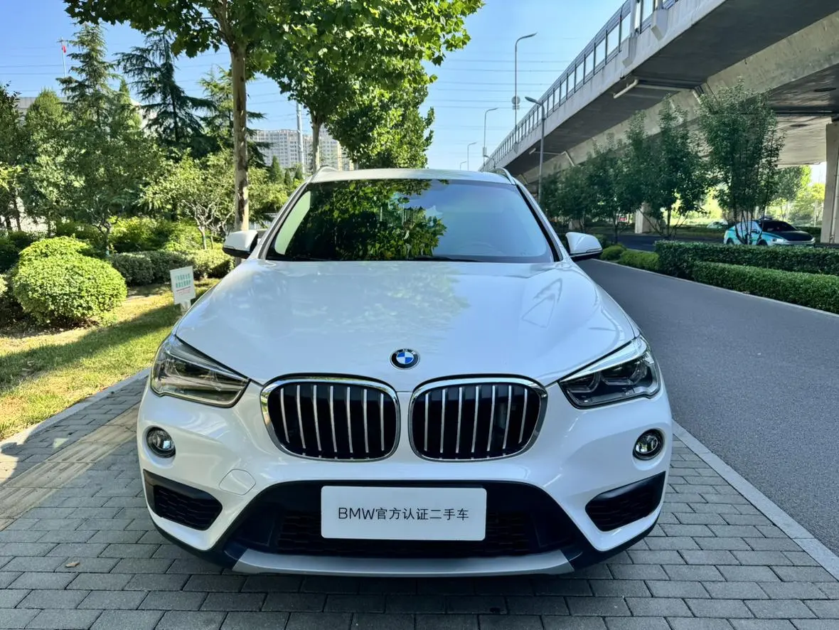 BMW X1 2019 sDrive20Li Leading