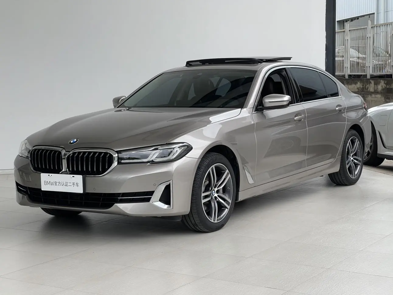 BMW 5 Series 2022 530Li Leading Luxury Package