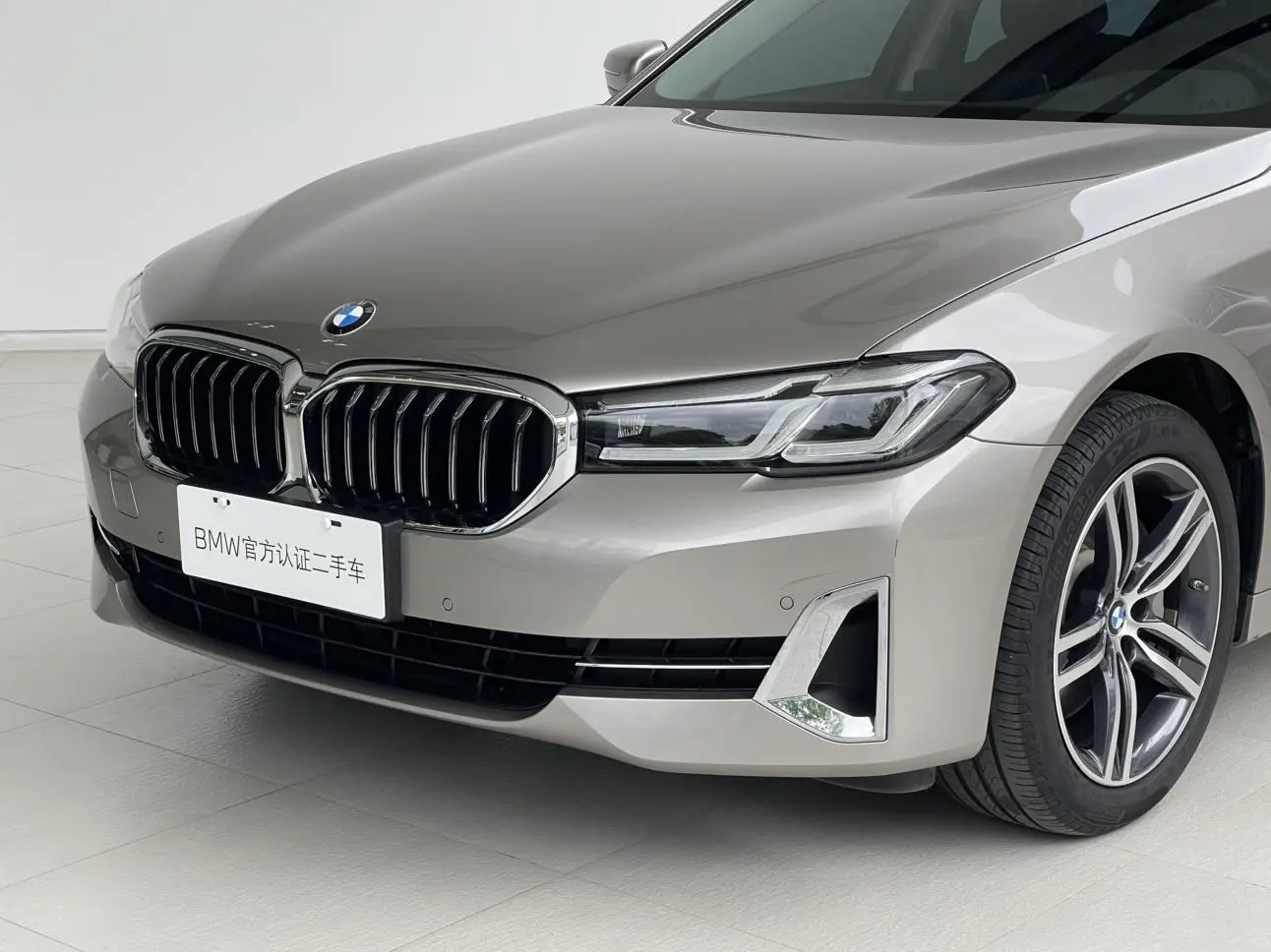 BMW 5 Series 2022 530Li Leading Luxury Package