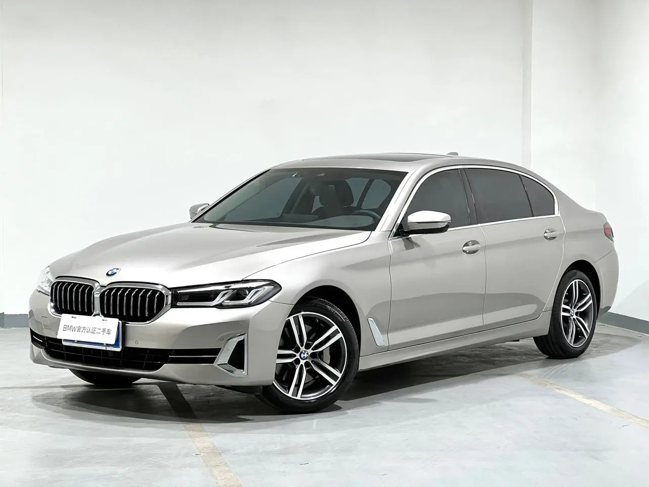 BMW 5 Series 2022 530Li Leading Luxury Package