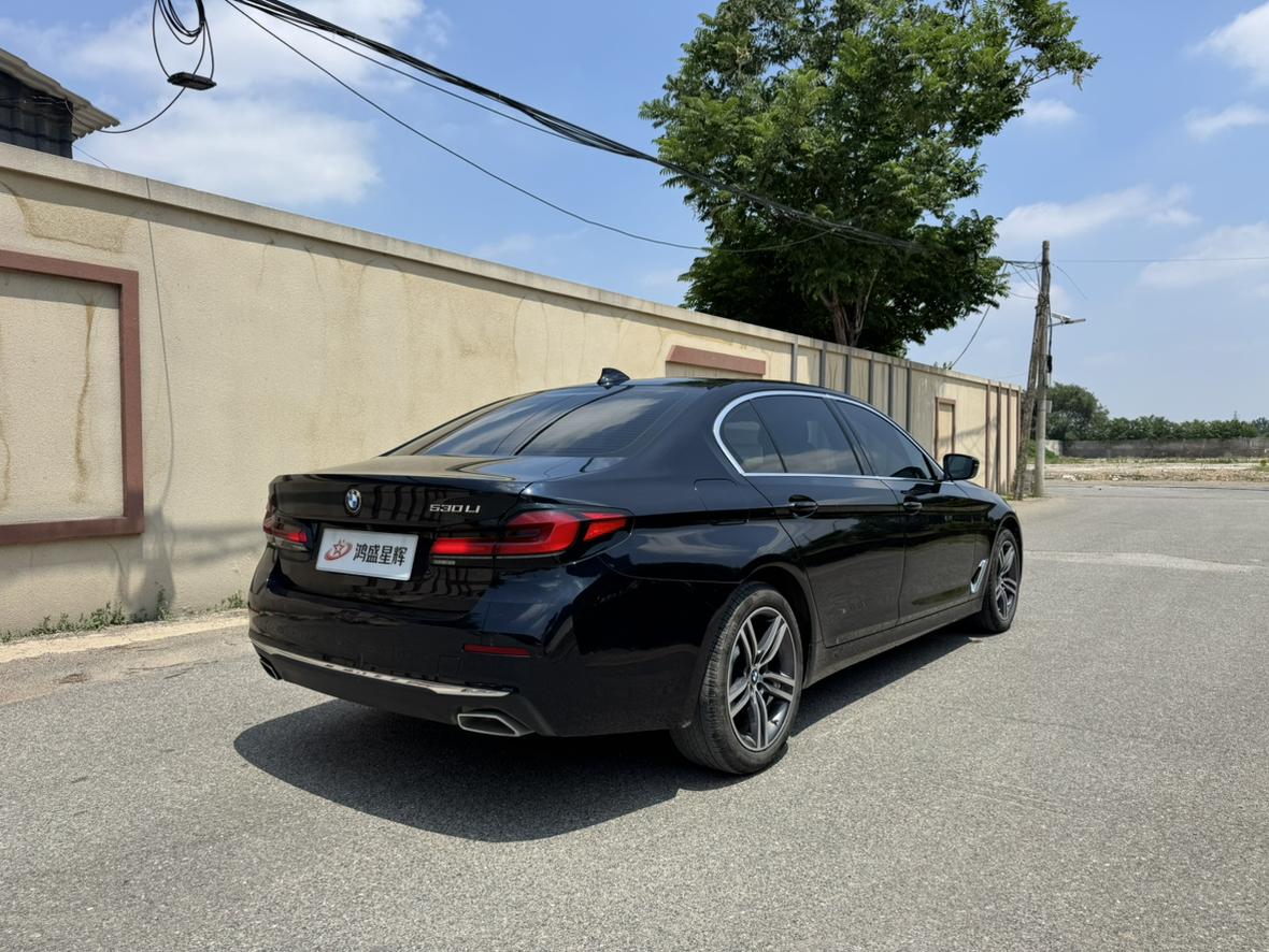 BMW 5 Series 2022 530Li Leading Luxury Package