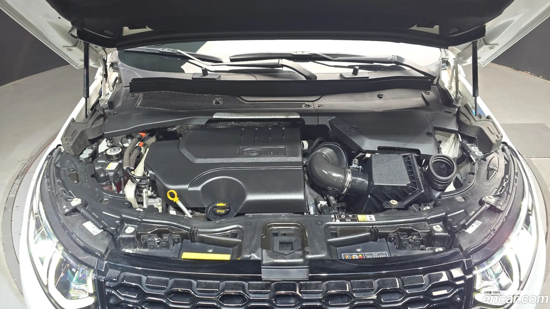 Land Rover Discovery Sport P250 SE