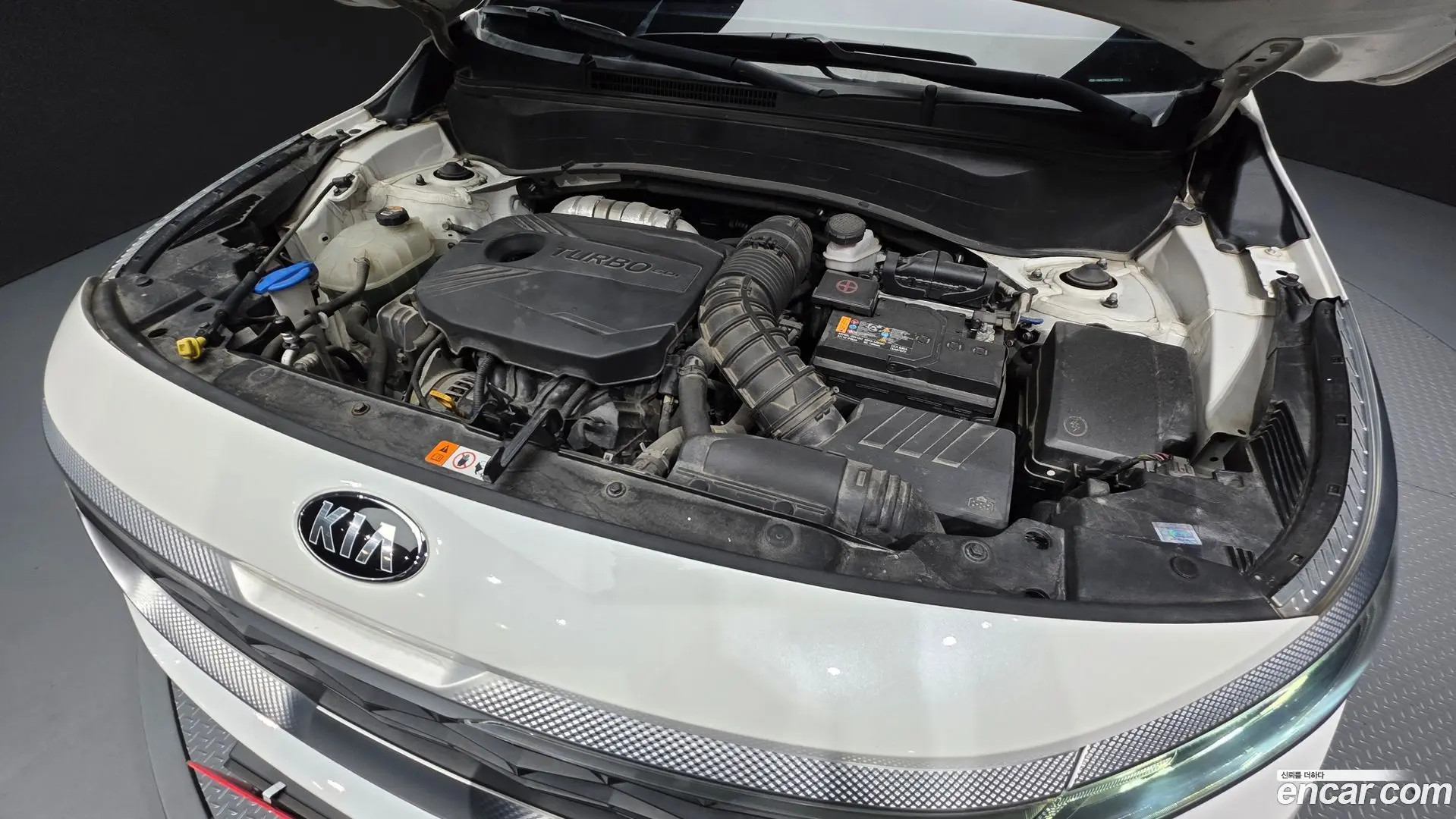 Kia Seltos Gasoline 1.6 Turbo 2WD 2019
