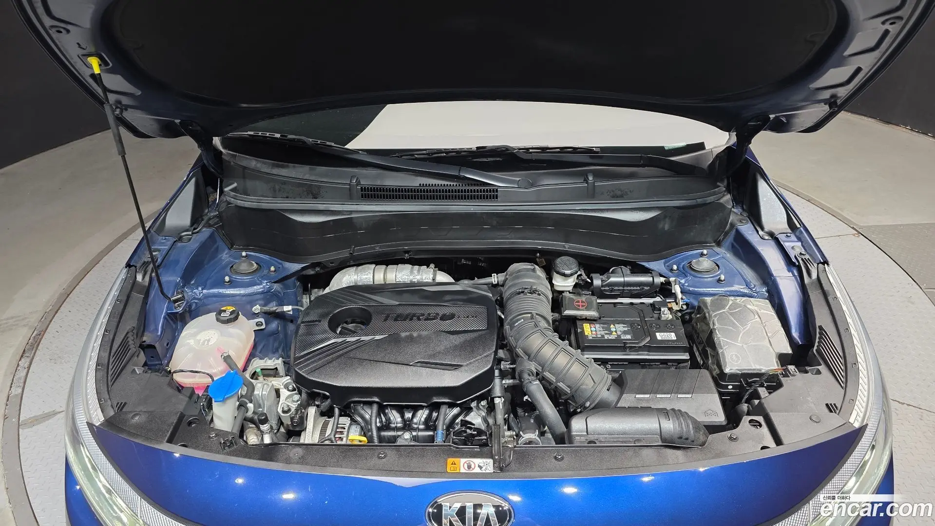 Kia Seltos Gasoline 1.6 Turbo 2WD 2019
