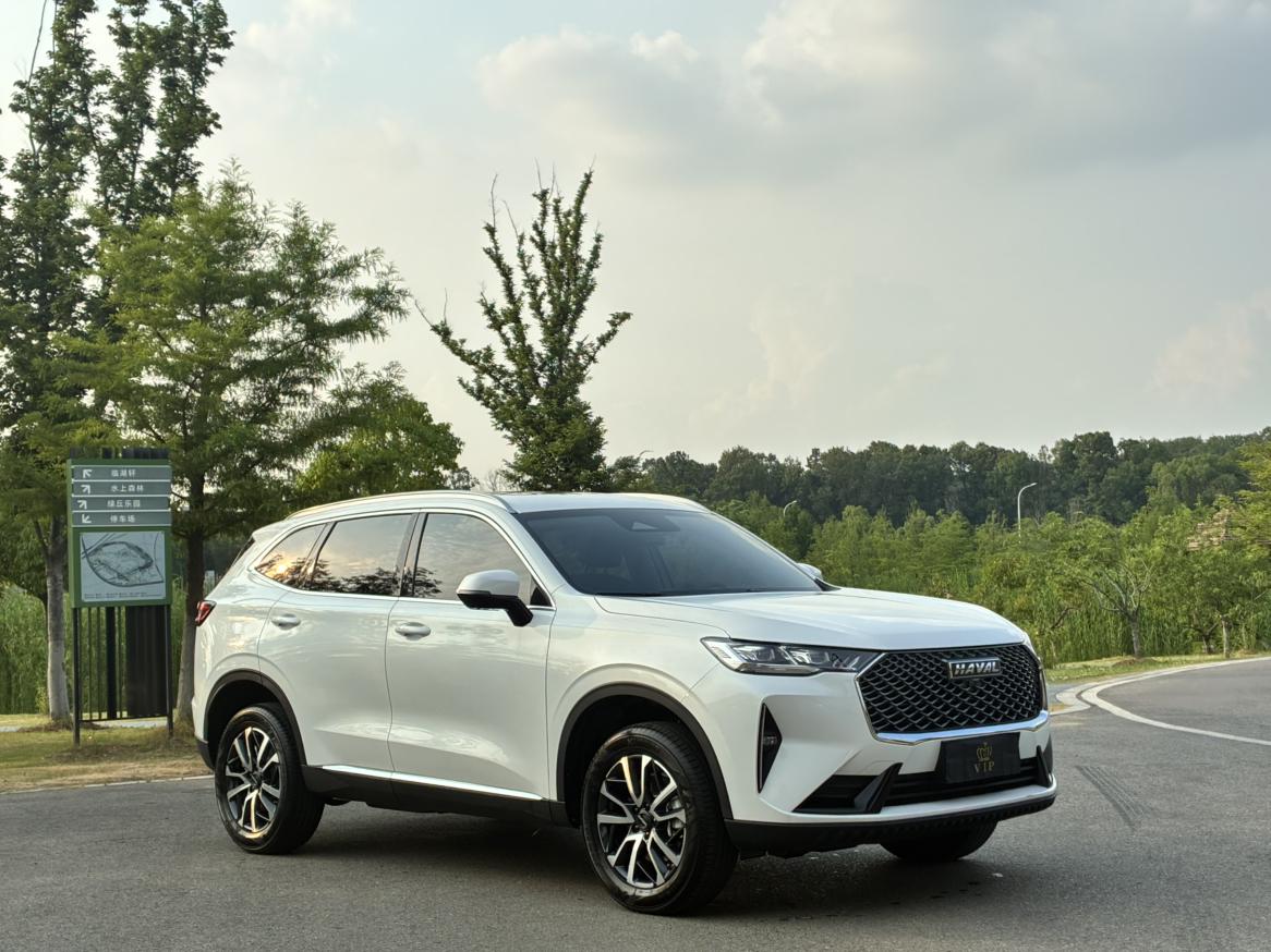 Haval H6 2024 1.5T Auto 2WD Classic