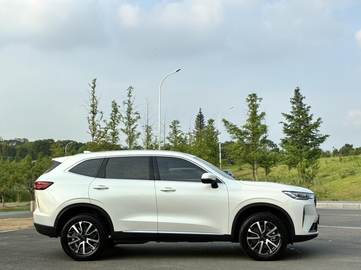 Haval H6 2024 1.5T Auto 2WD Classic