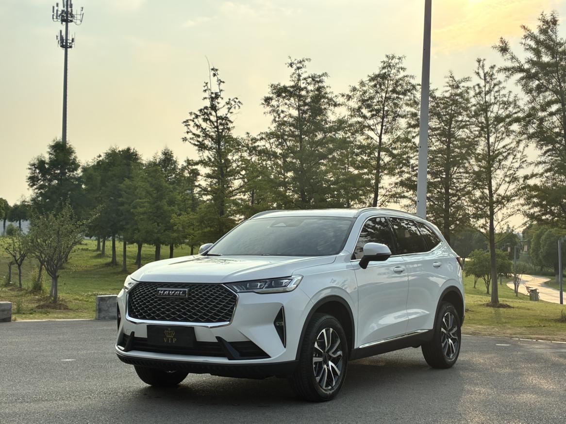 Haval H6 2024 1.5T Auto 2WD Classic