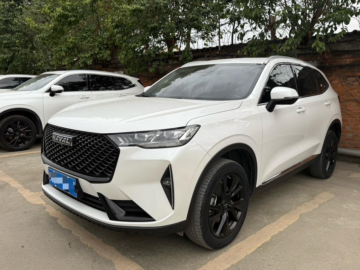 Haval H6 2021 3rd Gen 2.0T Auto 4WD Max