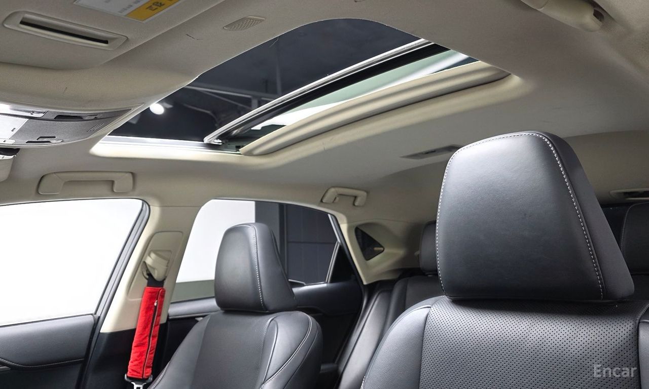 Lexus NX300h Executive 2019