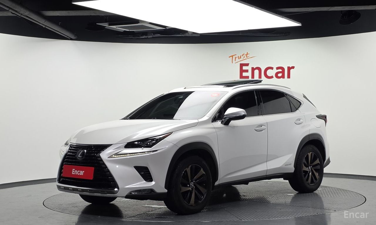 Lexus NX300h Executive 2019